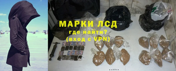 spice Бородино
