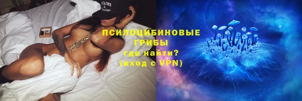 spice Бородино