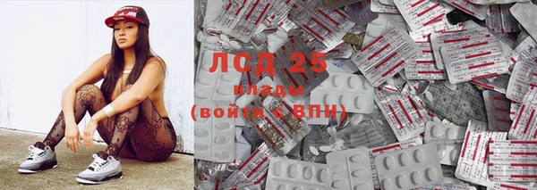 spice Бородино