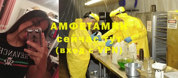 молекула духа Бронницы
