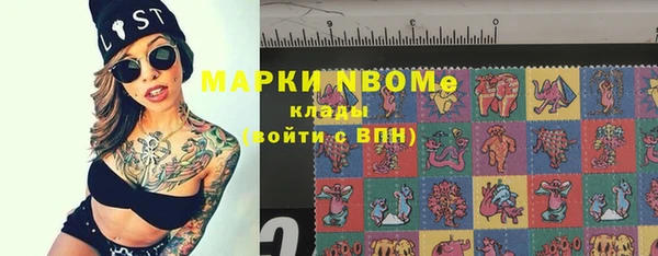 молекула духа Бронницы