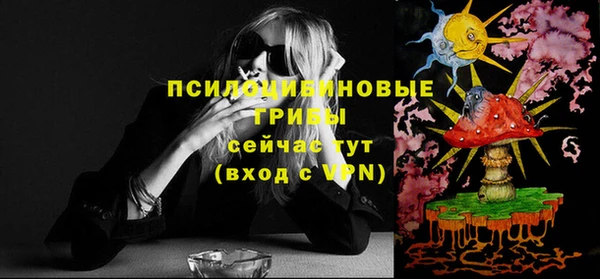 молекула духа Бронницы